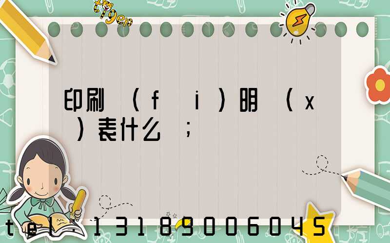 印刷費(fèi)明細(xì)表什么樣