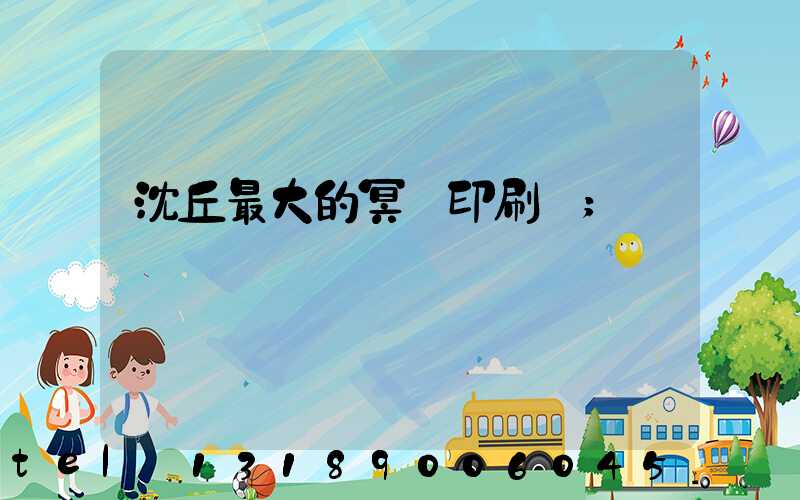 沈丘最大的冥幣印刷廠
