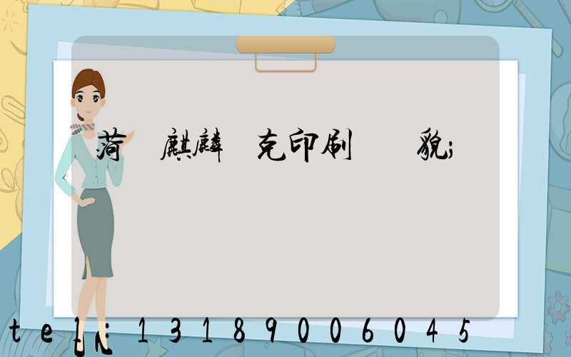 菏澤麒麟撲克印刷廠廠貌