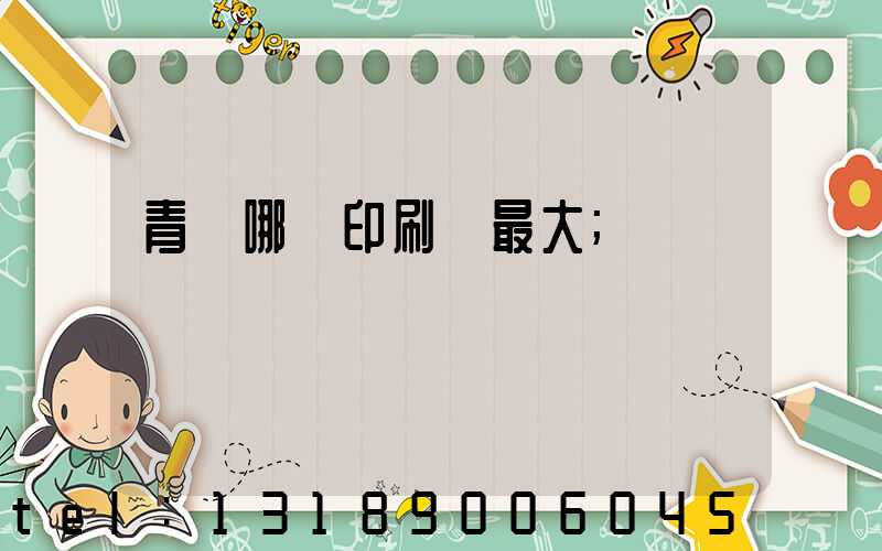 青島哪個印刷廠最大